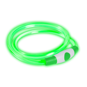 Bee Safe | Dog Band USB - green - one size