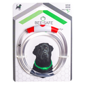 Bee Safe | Dog Band USB