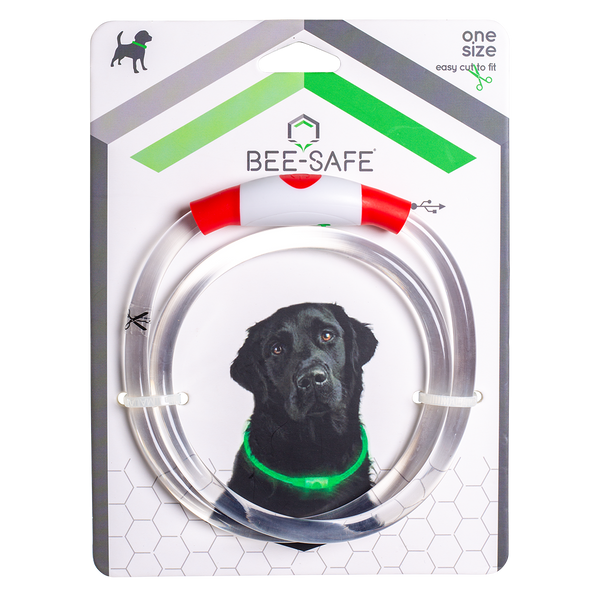 Bee Safe | Dog Band USB