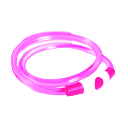 Bee Safe | Dog Band USB