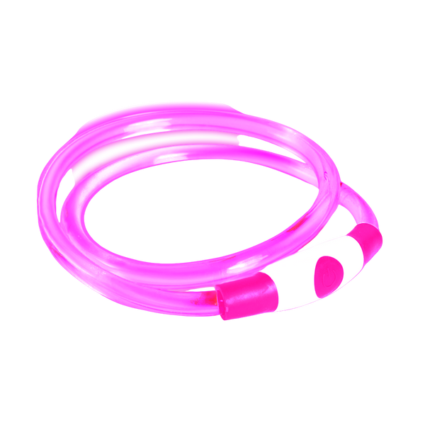 Bee Safe | Dog Band USB