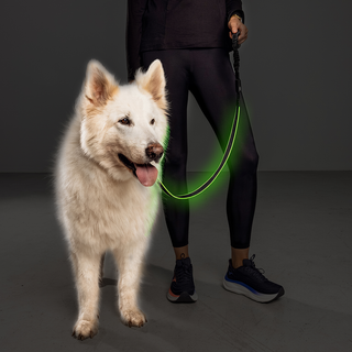 Dog Leash RUNNING USB - Black - Lime - one size